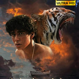 Life Of Pi Cover