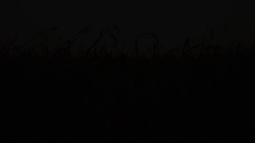 jQKn8QRGBUE1R 51.jpg