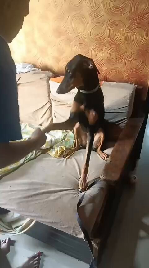 TNwazDT GJKSLriu.1