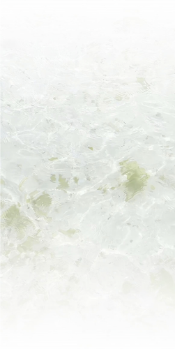 1000093054.png