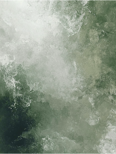 1000093051.png