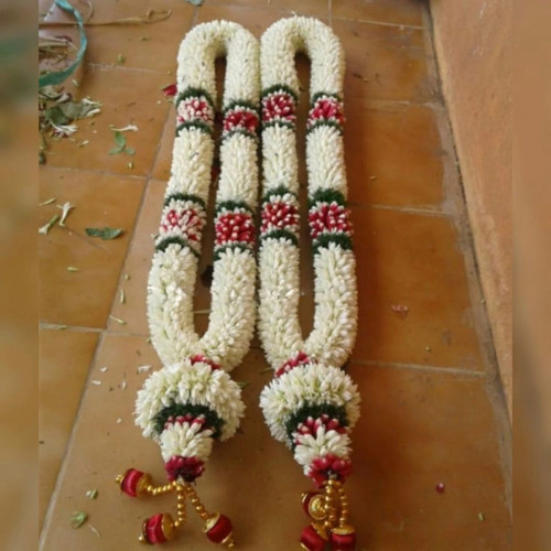 31d5f2f9 76f0 4ed7 b417 6a0bbeada922.jpg