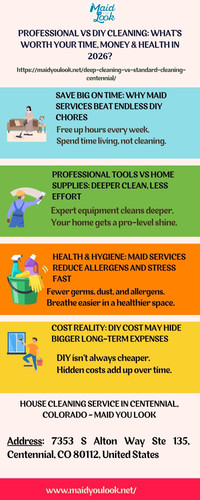 Professional vs DIY Cleaning: What’s Worth Your Time, Money & Health in 2026?.jpg