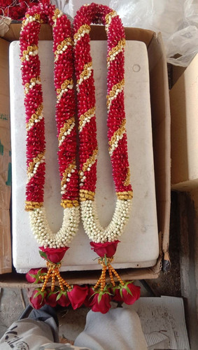 49d5bd0e 5a22 49a2 b62e ab8df1f8f654.jpg