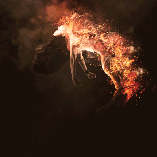 514f8244665583.5819fa726fcdf.gif