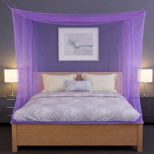 purple.jpg