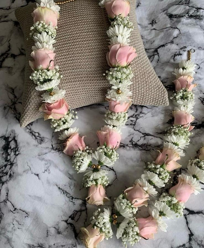 b36bbbf6 da32 47fc b5fc ad27b832d137.jpg