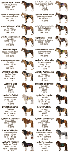Deckhengste.png