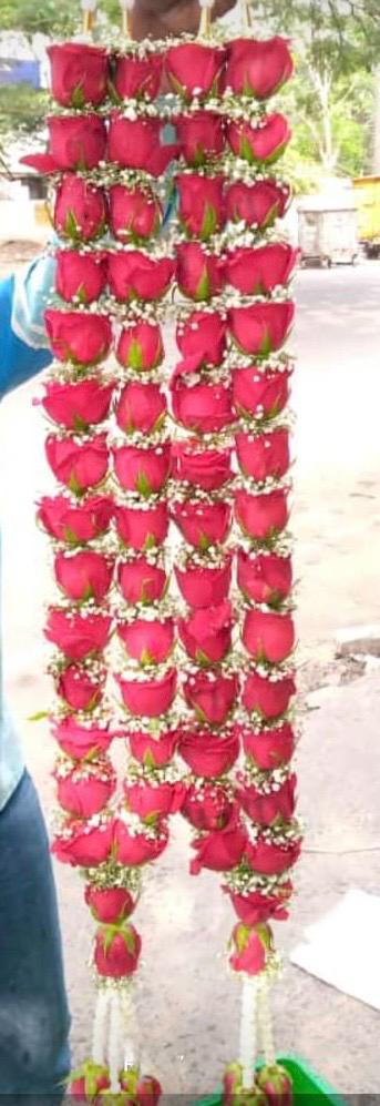 225144c9 076f 46b4 b3b9 ace0565fdd72.jpg