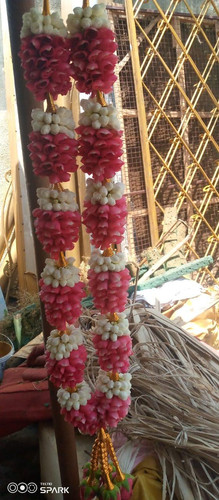 34eec432 fd85 490c b6a6 f50c7cc5ce61.jpg