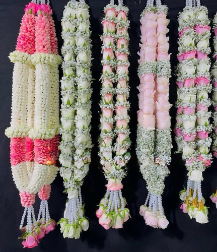 66f190b0 b79e 4efd ac4e 65acd7cfcff1.jpg