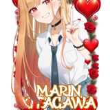 Untitled147 20260203143906