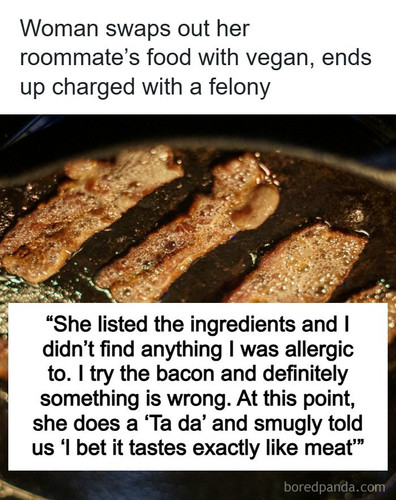 vegetarian roommate lying about food ingredients charged felony lawsuit.jpg
