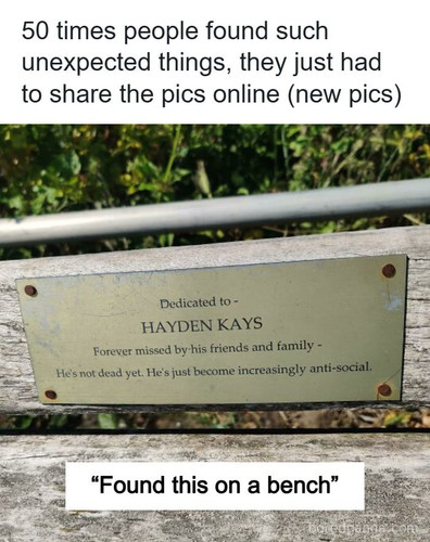 unexpected things found.jpg