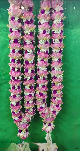 b852ace0 7162 4c0d 9758 e8e446b37572.jpg