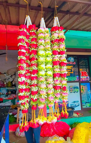 fa892e12 6fee 40a6 bac1 89843a0e9d53.jpg