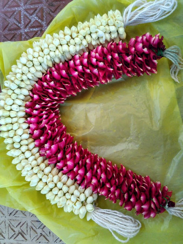 3f65adfe e545 48f6 b21d 212b19682354.jpg