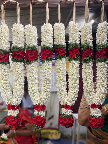 84fb3672 ef57 4681 805a 67acded82721.jpg