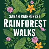 Sabah Rainforest Canopy Walks