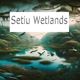 Setiu Wetlands