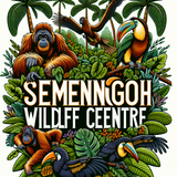 Semenggoh Wildlife Centre2