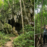 Kenong Rimba Park, Pahang