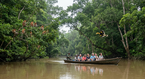 Kinabatangan River, Sabah.png