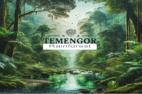 Temengor Rainforest.webp