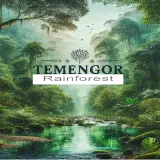 Temengor Rainforest