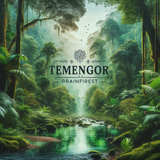 Temengor Rainforest2
