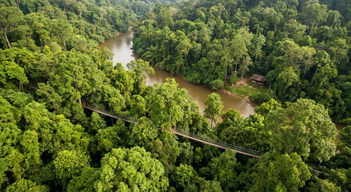 Taman negara.png
