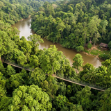 Taman negara