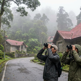 Fraser’s Hill, Pahang