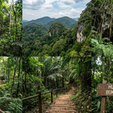 Bukit Batu Lebah Recreational Forest, Malacca