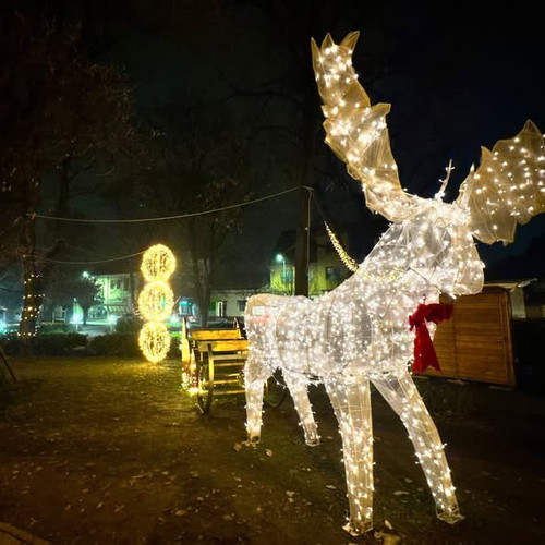 597860047 1425253789604448 433060205686331828 n.jpg?stp=dst jpg s590x590 tt6& nc cat=104&ccb=1 7& nc.jpg