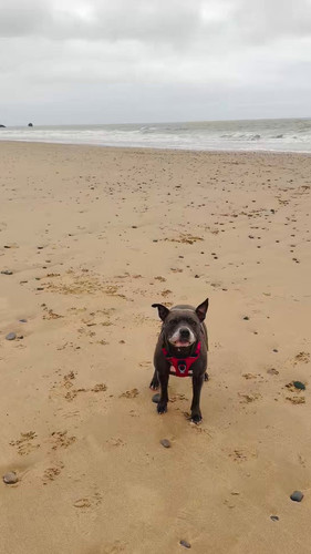 RIKKu Q04RgZU3nK.jpg