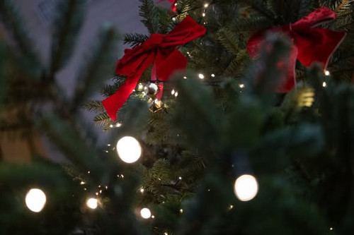 600310515 1387325859414250 7114778837652780875 n.jpg?stp=dst jpg s590x590 tt6& nc cat=106&ccb=1 7& n.jpg