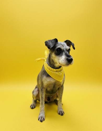 G8JrvHaXoA0PWwo.jpg