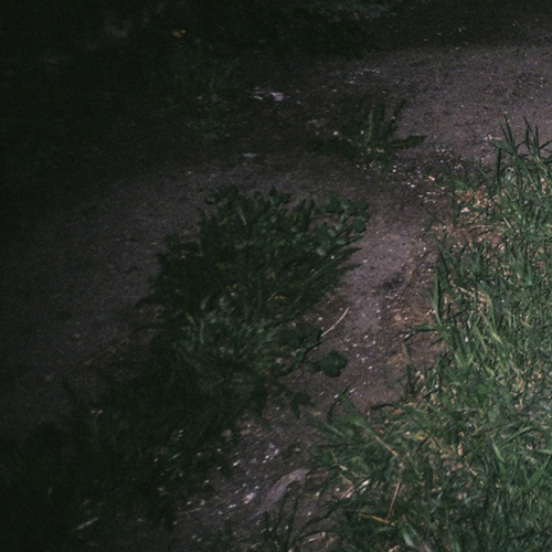 7f0567531033.png
