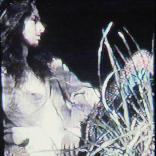 7a6dd4d91e49.png