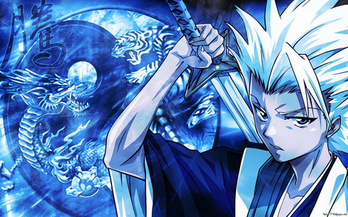 1765823800514 file 1709.jpg