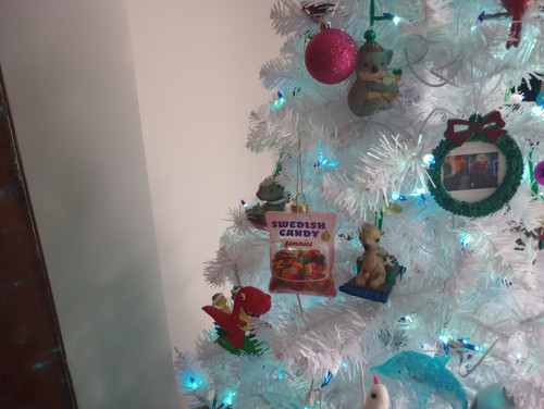 IMG 20251215 104802638.jpg