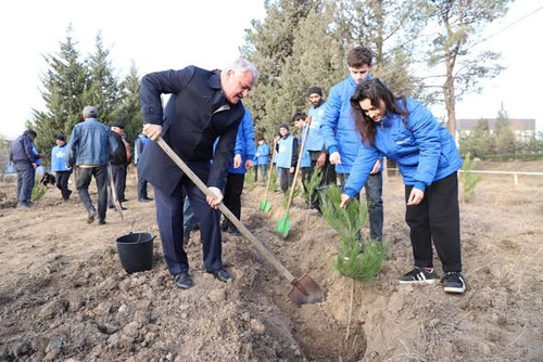 598842672 1293357009493399 4649099358516427527 n.jpg?stp=dst jpg s590x590 tt6& nc cat=111&ccb=1 7& n.jpg