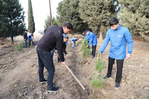 598878836 1293357166160050 3847665544570122125 n.jpg?stp=dst jpg s590x590 tt6& nc cat=109&ccb=1 7& n.jpg