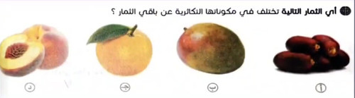 9fe8aa43d1a8.jpg