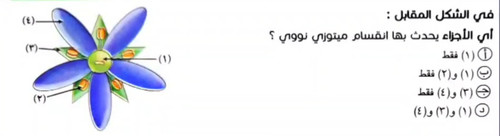 cf0634eded26.jpg