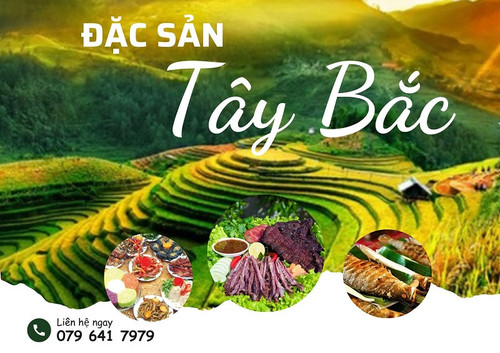 30baa12095dc.jpg