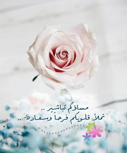 G8IDdk9asAALoWf.jpg