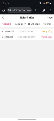 Screenshot 20251212 231352 com android chrome ChromeTabbedActivity.jpg