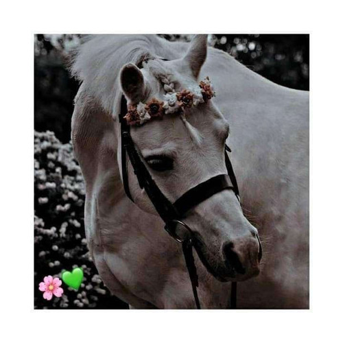 G8Mv qHW8AQVaFq.jpg